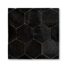 HEX TITANIUM