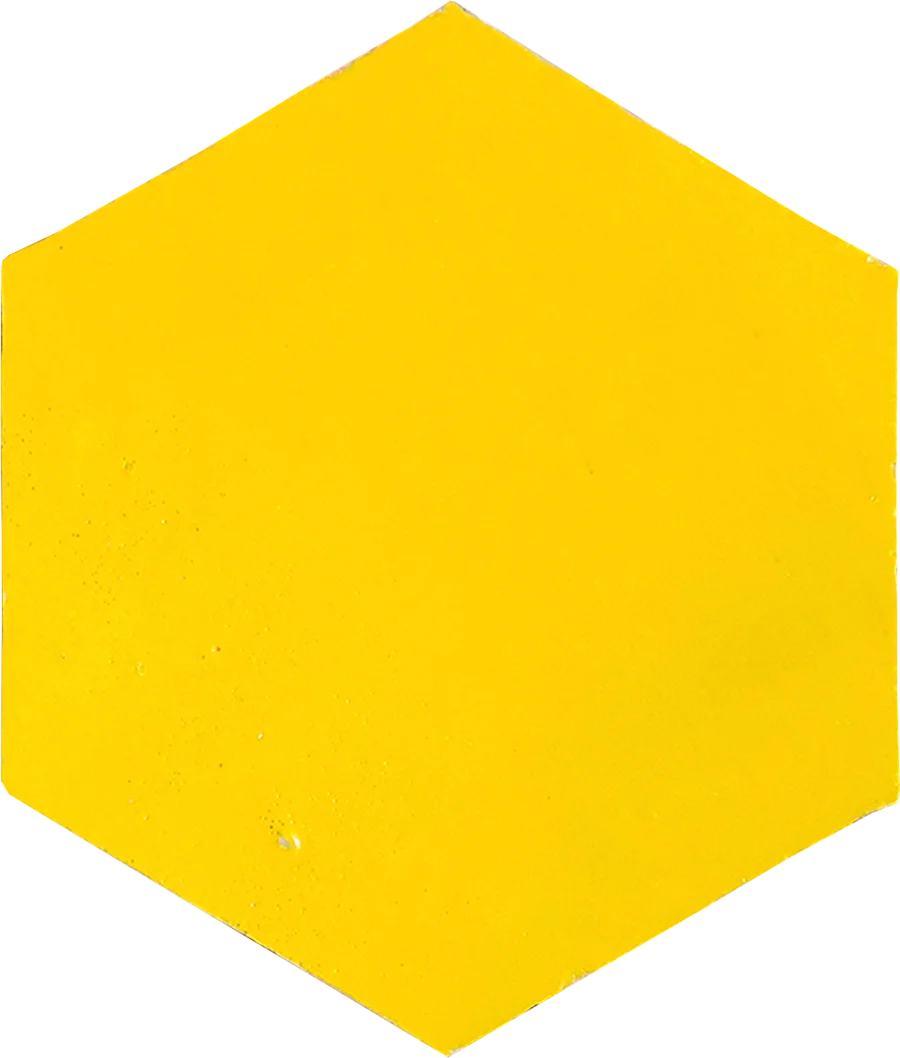 sample CORA MOSAIC SUNFLOWER