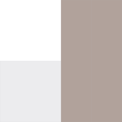 neutral-checkout-fallback