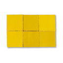 SUNFLOWER 2X2