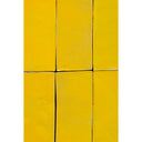 SUNFLOWER 2X6