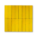 SUNFLOWER 2X8